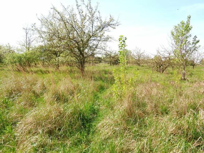 Sompolno – Duża Działka Budowlana