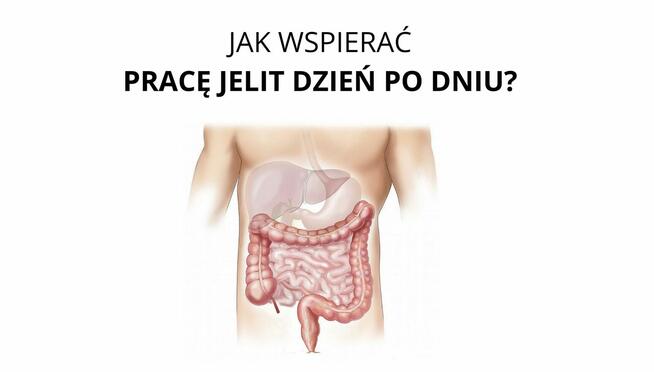 Warsztaty online Jak wspierać pracę jelit dzień po dniu?