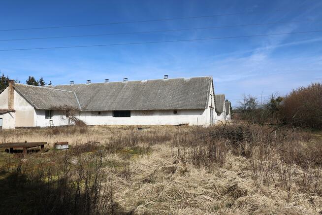 Lokal użytkowy Czarnkowo gm. Marianowo