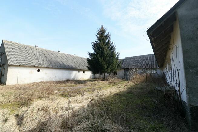 Lokal użytkowy Czarnkowo gm. Marianowo