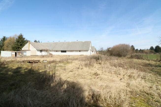 Lokal użytkowy Czarnkowo gm. Marianowo