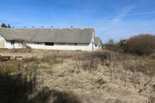 Lokal użytkowy Czarnkowo gm. Marianowo