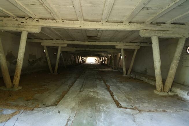 Lokal użytkowy Czarnkowo gm. Marianowo