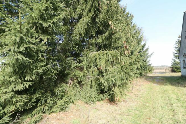 Lokal użytkowy Czarnkowo gm. Marianowo