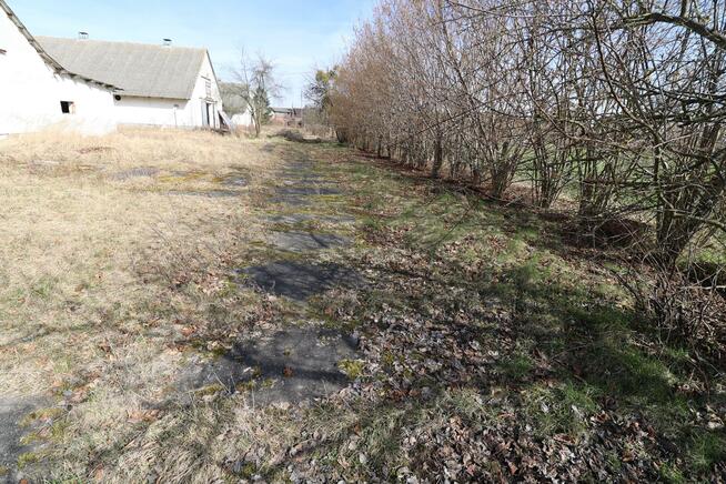 Lokal użytkowy Czarnkowo gm. Marianowo