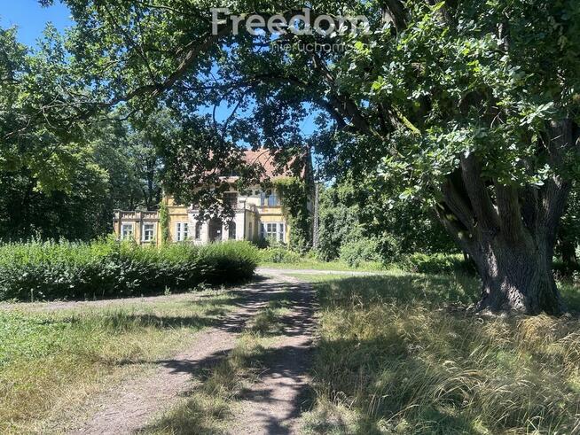 Pięknie położony, zabytkowy pałac z parkiem