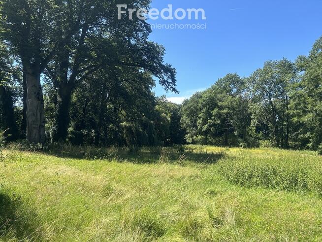 Pięknie położony, zabytkowy pałac z parkiem