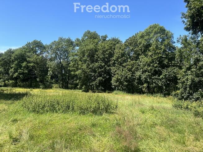 Pięknie położony, zabytkowy pałac z parkiem