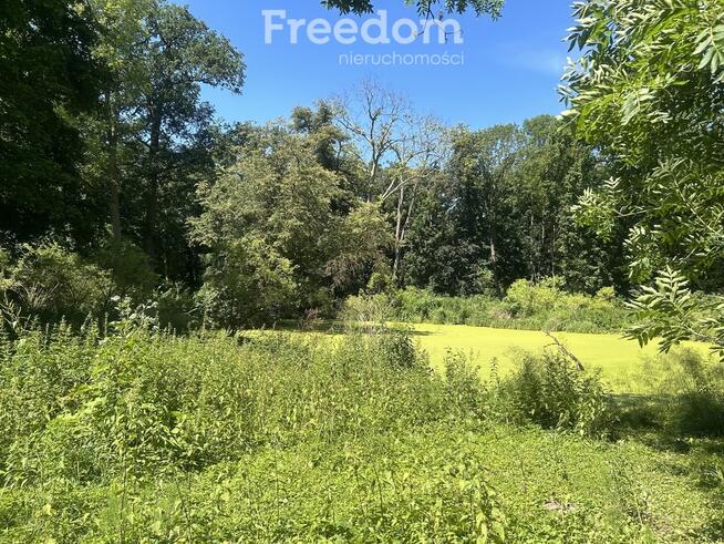 Pięknie położony, zabytkowy pałac z parkiem