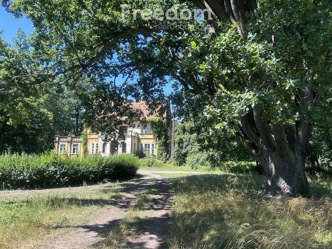 Pięknie położony, zabytkowy pałac z parkiem