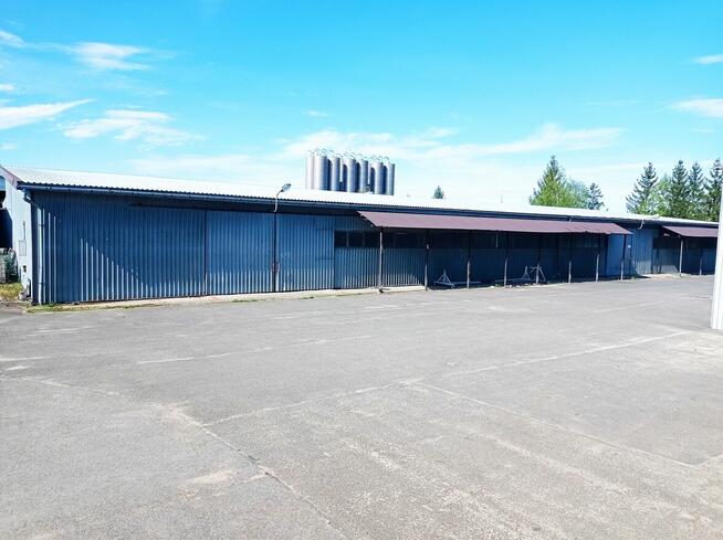 Magazyn do wynajęcia