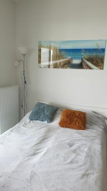 Rogowo Pearl - wynajem apartamentu