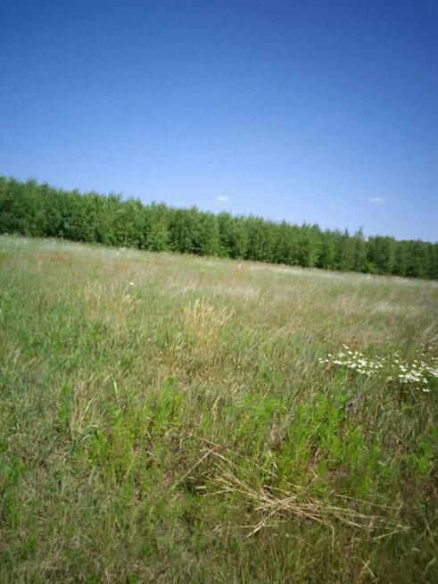 Działka budowlana w Brańszczyku - media