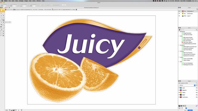 PrintFactory do druku licencja 1rok swissQprint Nyala-5