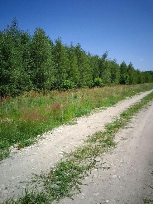 Działka budowlana w Brańszczyku - media