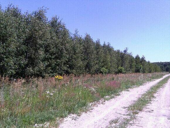 Działka budowlana w Brańszczyku - media