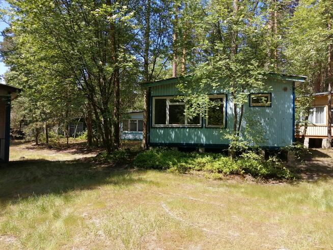 Domek Domki na wynajem w Stegnie - Stegna