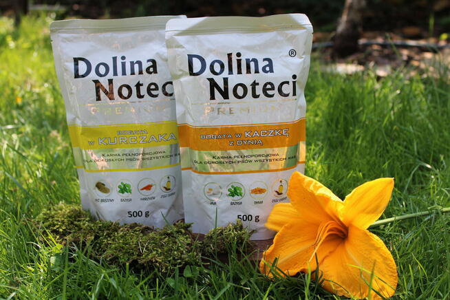 Dolina Noteci saszetki 10x500g dla psa - wyprzedaż