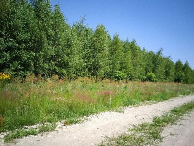 Działka budowlana w Brańszczyku - media