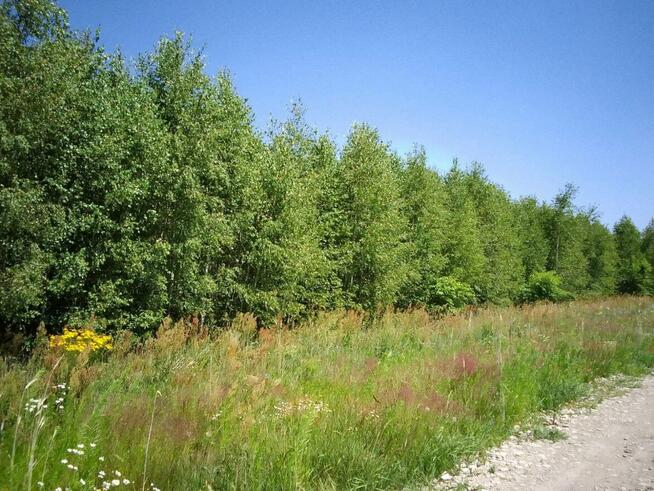 Działka budowlana w Brańszczyku - media