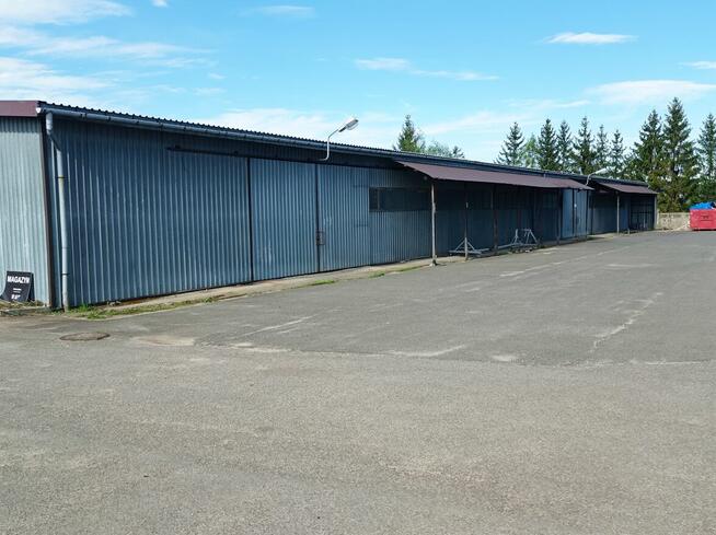 Magazyn do wynajęcia