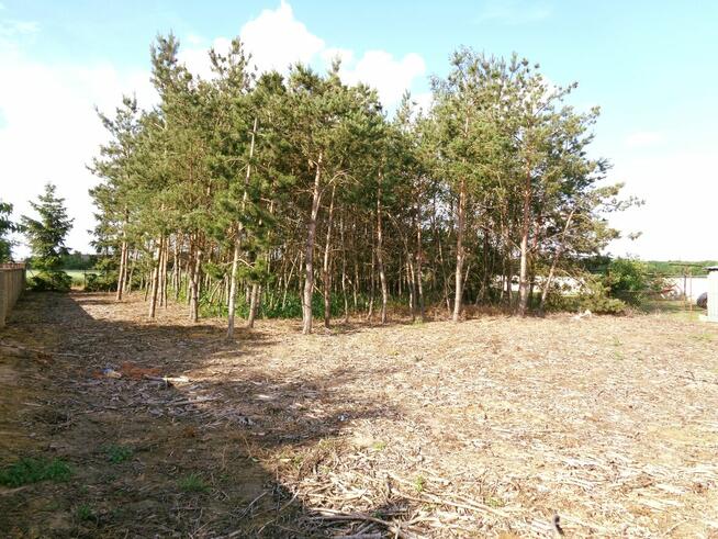 Działka Budowlana – Gmina Ślesin