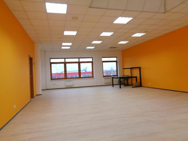 Wynajmę Lokal użytkowy - Konin Pasaż Fryderyk