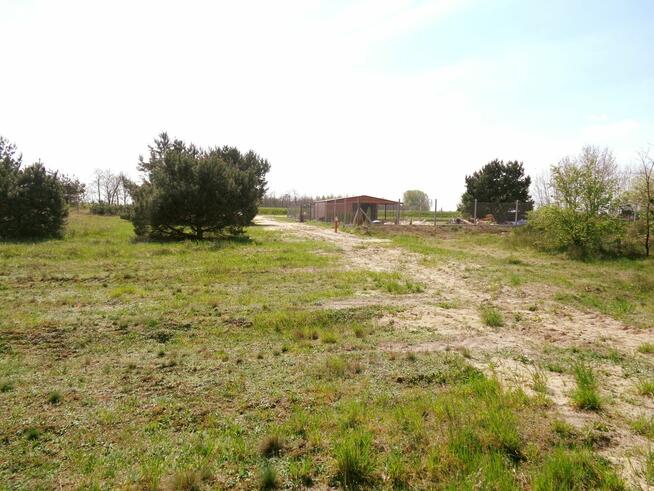 Sompolno – Duża Działka Budowlana