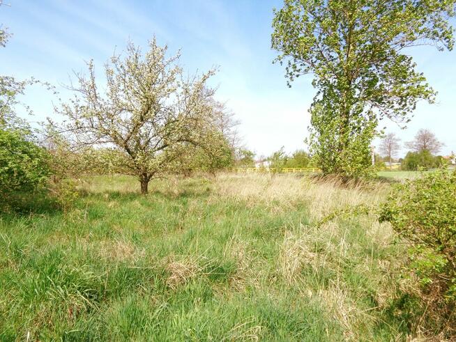 Sompolno – Duża Działka Budowlana