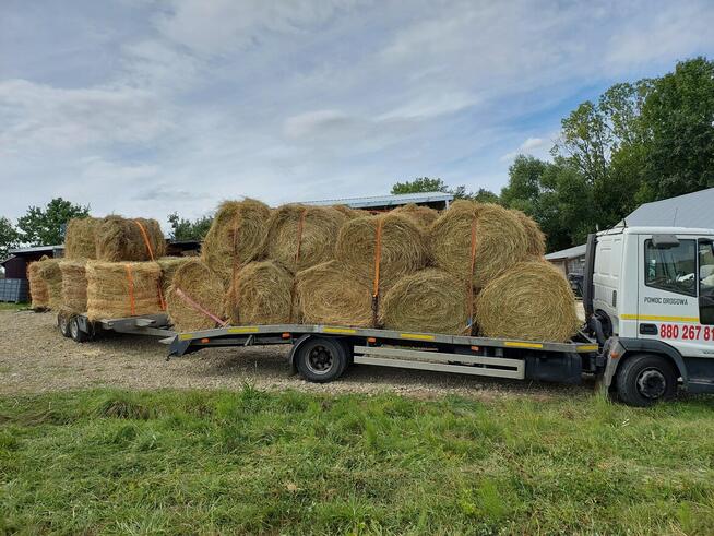 Laweta PILZNO 880267817 POMOC DROGOWA JODŁOWA bielowy