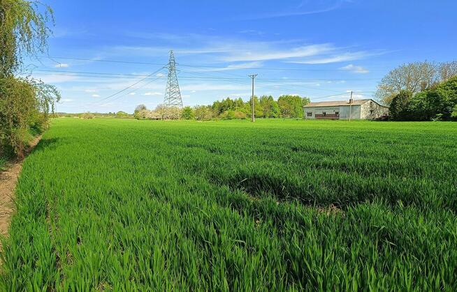Działka budowlana 2 km od Zamościa, Chyża Kolonia