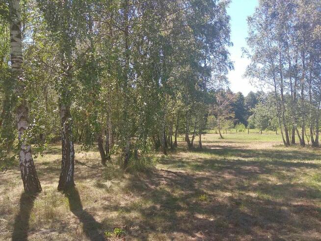 Duża działka budowlana ,Łomianki Dąbrowa, przy Kampinosie