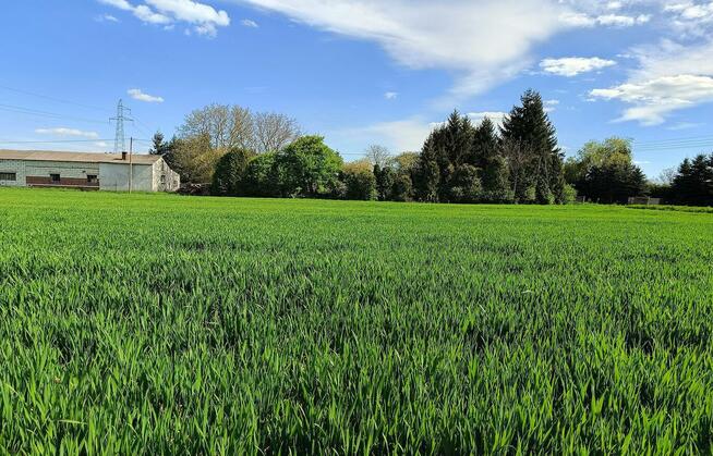 Działka budowlana 2 km od Zamościa, Chyża Kolonia