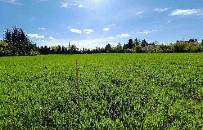 Działka budowlana 2 km od Zamościa, Chyża Kolonia
