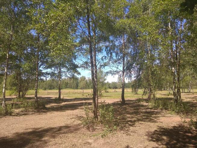 Duża działka budowlana ,Łomianki Dąbrowa, przy Kampinosie