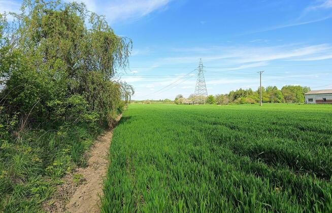 Działka budowlana 2 km od Zamościa, Chyża Kolonia