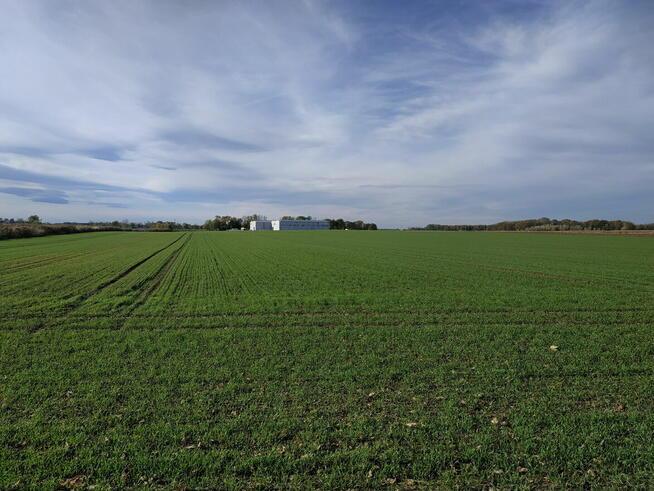 Syndyk sprzeda nieruchomość