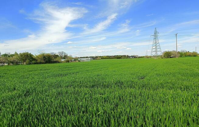 Działka budowlana 2 km od Zamościa, Chyża Kolonia