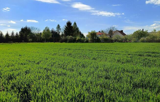 Działka budowlana 2 km od Zamościa, Chyża Kolonia