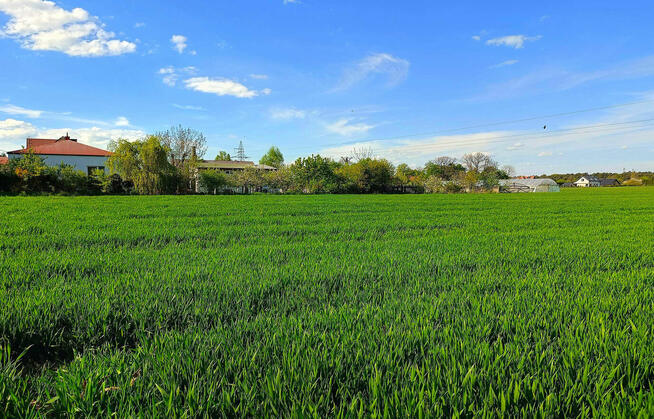 Działka budowlana 2 km od Zamościa, Chyża Kolonia