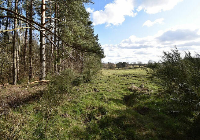 Działki budowlane nad morzem Bukowa Smołdzino 3011 m