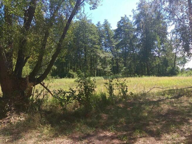 Duża działka budowlana ,Łomianki Dąbrowa, przy Kampinosie