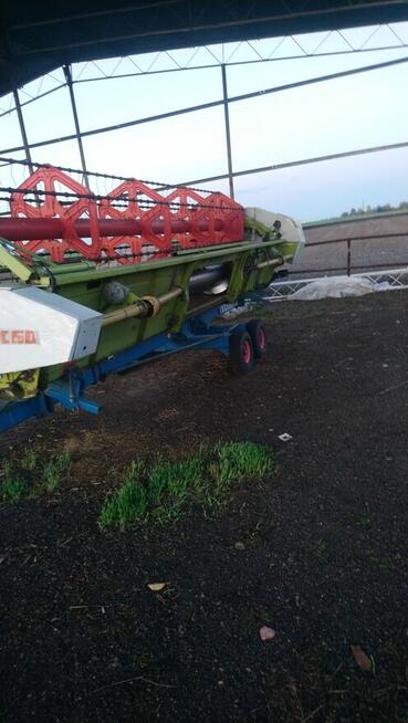 sprzedam cheder lub zamienie