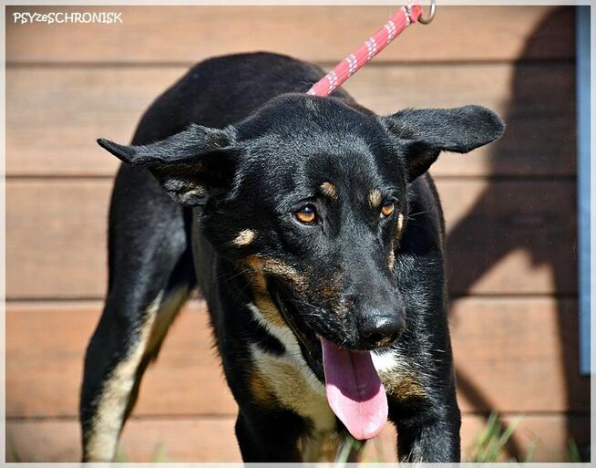 Baśka - szalenie sympatyczna i proludzka