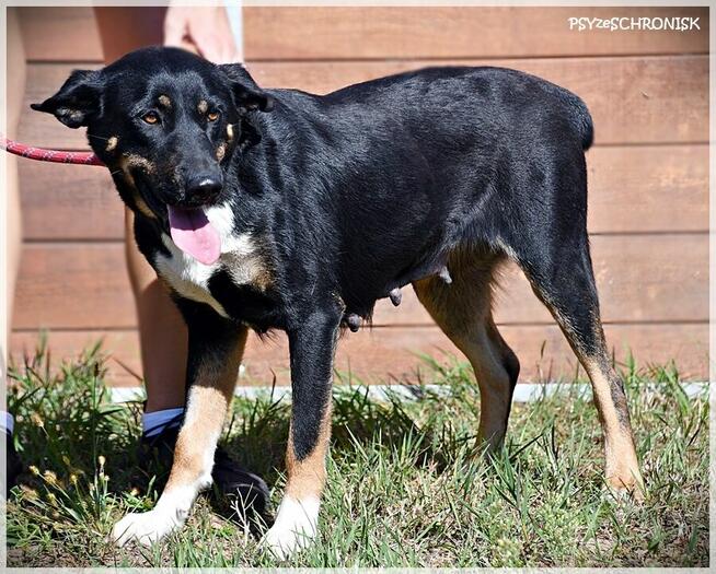 Baśka - szalenie sympatyczna i proludzka