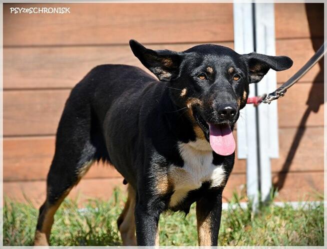 Baśka - szalenie sympatyczna i proludzka