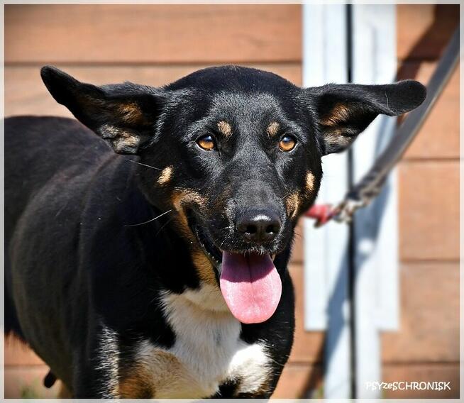 Baśka - szalenie sympatyczna i proludzka
