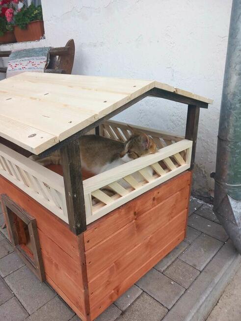 kojec dla kotka lub małego pieska