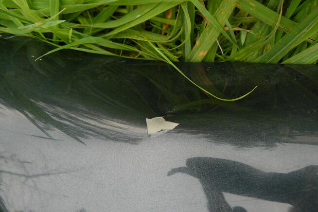 Citroen C5 przedni prawy blotnik