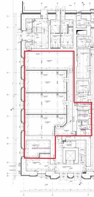 Parter - Piotrkowska - Centrum Łodzi